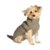 Small Grey Wool Sweater for Small Breed Dog Needs