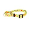 Small Happy Birthday Martingale Control Dog Collar for Wide or Narrow Necks