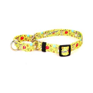 Small Happy Birthday Martingale Control Dog Collar for Wide or Narrow Necks