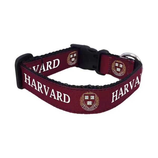 Small Harvard-Inspired Dog Collar for College Campus Pets