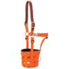 Small Horse Grazing Muzzle with Blaze Orange Nylon and Rubber Construction and Neoprene