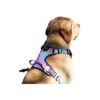 Small LED Light Up Dog Harness with No Pull Design for Pet Safety Walking