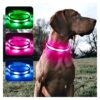 Small Medium Large Adjustable LED Dog Collar with Reflective Technology