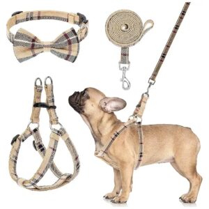 Small Medium Large Dog Training Harness with Adjustable Collar and Leash