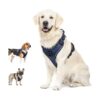 Small Medium Large Dog Vest Harness with Adjustable Buckles and Easy Control Handle