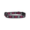 Small Multi-Color Dog Collar with Girl Skull Design for Small Breed Dogs