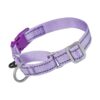 Small Nylon Reflective Martingale Collar with Quick Snap Buckle for Easy Dog Walking