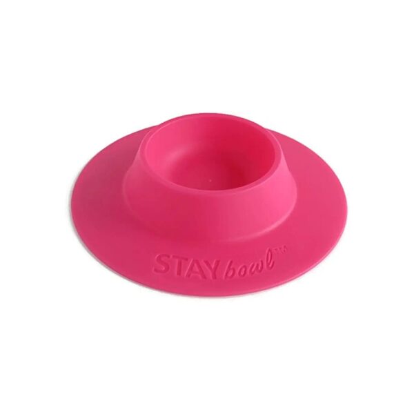 Small Pet Bowl for Guinea Pigs and Other Small Animals, 1/4 Cup Capacity, Fuchsia