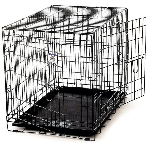 Small Pet Crate with Wire Mesh Panels and Comfortable Bedding for Pets up to 50lbs