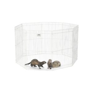 Small Pet Exercise Pen for Ferret Guinea Pig Rabbit Rat Habits and Health