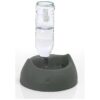 Small Pet Hydration Solution with Grey Cat Self Waterer and Unlimited Fresh Water Supply