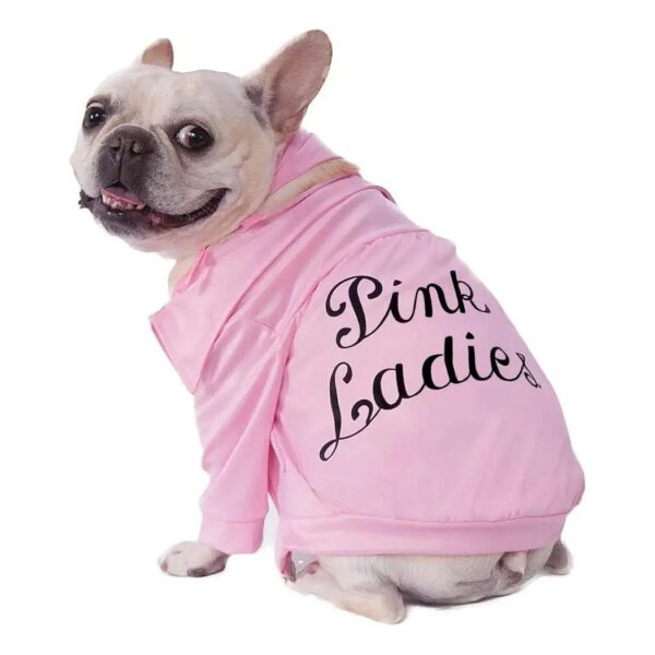 Small Pink Ladies Dog Costume, Dog Apparel for 40th Anniversary Grease Edition