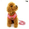 Small Red Polka Dot No Pull Leash Set with Padded Mesh Dog Vest