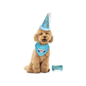 Small Size Dog Birthday Party Pack with Adjustable Hat, Bandana, and Birthday Bone