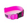 Small Size Heavy Duty Nylon Dog Collar with Hot Pink 5 Inch Buckle