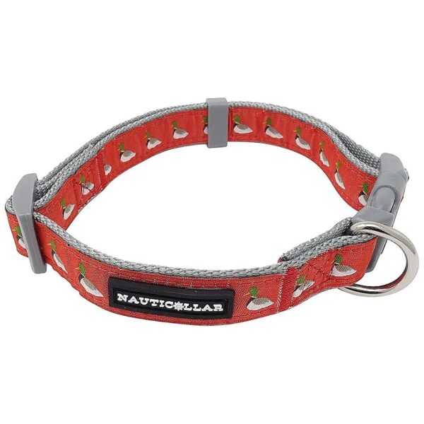 Small Size Nylon Ribbon Dog Collar with Buckle Closure