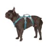 Small Teal Reflective Hi-Viz Safety Dog Harness with Padded Handle for Walks and Training