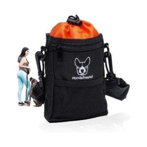 Small Treat Pouch for Dog Training and Walking Needs