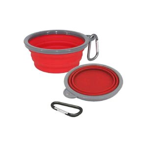 Small and Medium Breed Dog Feeding Bowls with Collapsible Silicone Design