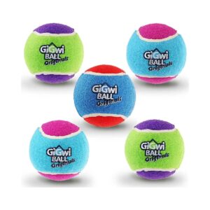 Small and Medium Dog Interactive Rubber Toy Balls for Training and Play