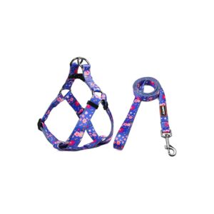 Small to Large Breed Dog Harness and Leash Set with Heavy Duty D-Ring and Secure Buckle