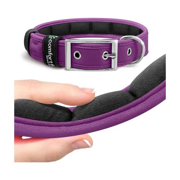 Small to Large Dog Adjustable Collars with Soft Padded Padded Necks and Buckle Closure