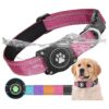 Small to Large Dog Airtag Collar with Waterproof Case and Adjustable Nylon Strap