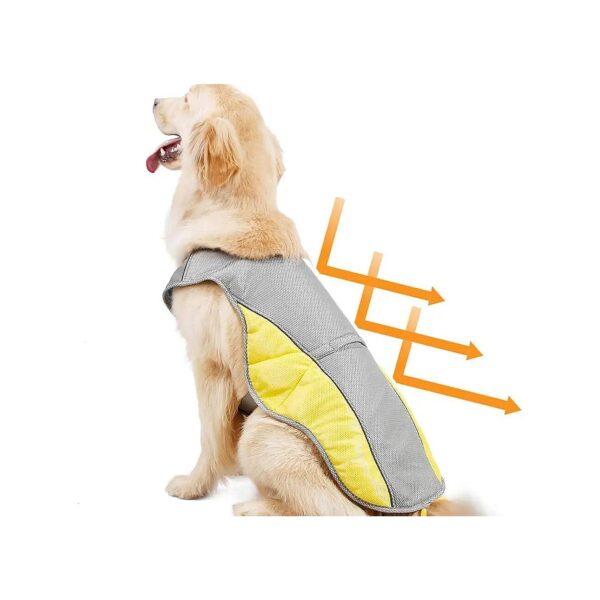 Small to Large Dog Cooling Vest for Outdoor Adventures and Pet Hunting