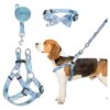 Small to Large Dog Harness and Leash Set for Easy Running