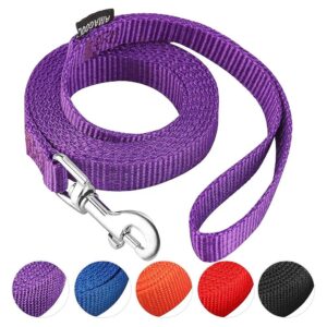 Small to Large Dog Leash 5/8in x 6FT with Nickel-Plated Clip and Easy On Hook