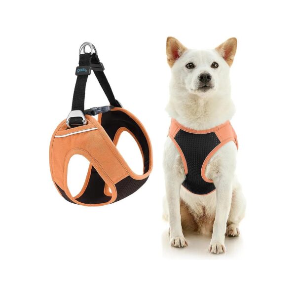 Small to Medium Breed Dog Harness in Atlanta Peach with Soft Chest Padded for Comfort