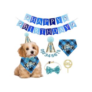 Small to Medium Dog Birthday Package Including Bandana, Scarf, Hat, and Banner