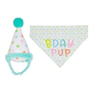 Small to Medium Dog Birthday Party Accessories Set with Bandana and Plush Hat