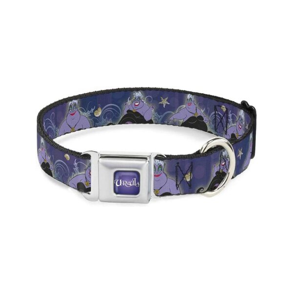 Small to Medium Dog Collar with Adjustable Neck Size and Nylon Webbing Material