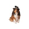 Small to Medium Dog Costume Party Hat with Black Feathers and Gold Glitter HAPPY NEW YEAR