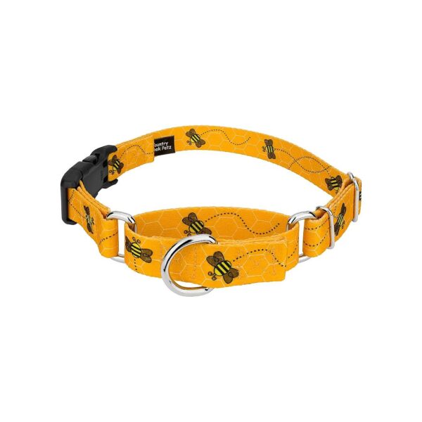 Small to Medium Pet Collars with Deluxe Buckle