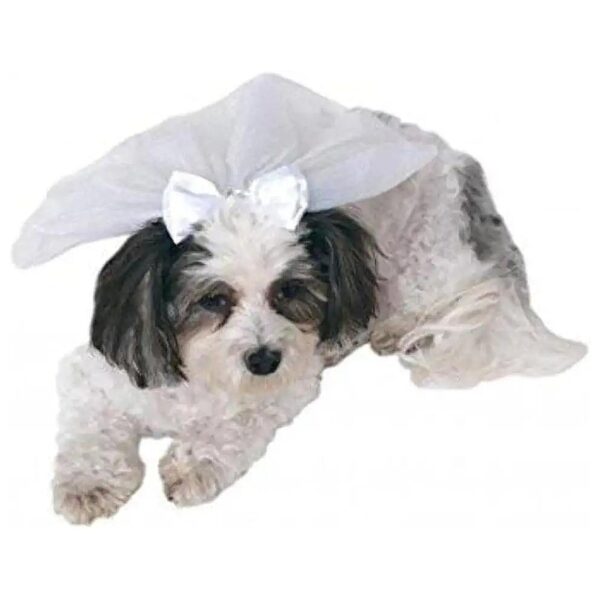 Small to Medium Pet Wedding Accessory - White Veil with Bow Tie