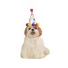 Small to Medium Size Dog Hat with Pom-Poms and Boy Paw Print Design