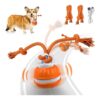 Smart Dog Ball for Puppy and Small Dogs with Automatic Rolling Toy