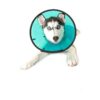 Smart Elizabethan Collar Size 2 for Dog Wound Protection