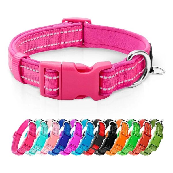 Smart ID Tag Ring Dog Collar with Reflective Threads and Adjustable Fit for Small Dogs