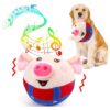 Smart Plush Dog Toy for Small to Large Dogs with Music and Recording