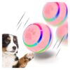 Smart Rolling Dog Ball for Small to Medium Sized Dogs with High Durability