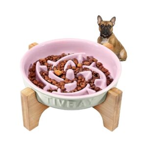 Smooth-Disc Ceramic Dog Bowl with Two-Legged Stand for Comfortable Feeding