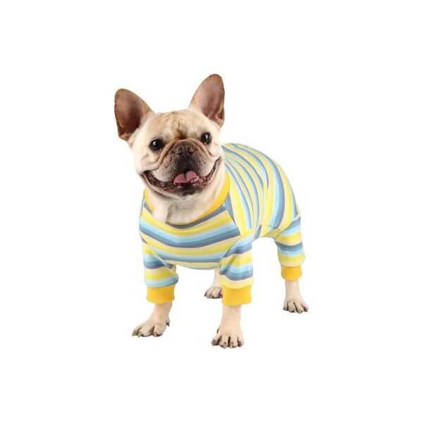 Snug Fit Dog Onesie for Recovery After Surgery and Spay/Neuter Procedures