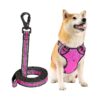 Soft Adjustable Dog Harness with Easy-On Buckles, Reflective Strips, 5ft Free Leash, Pink