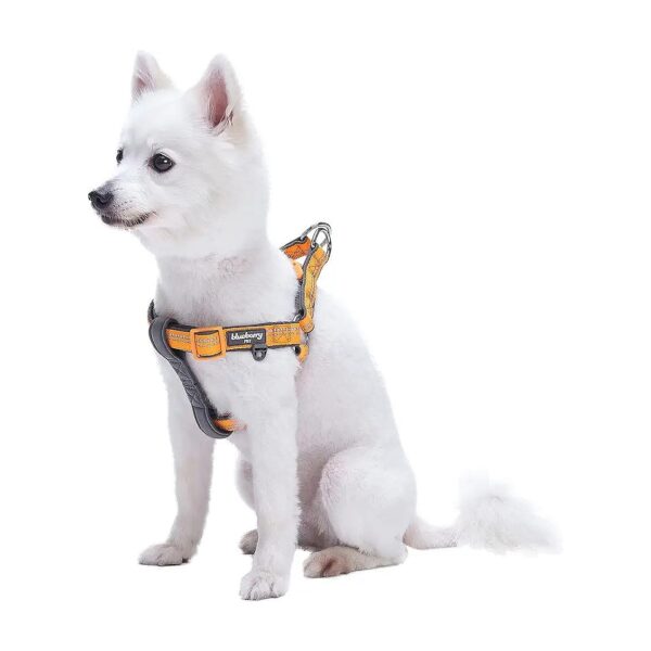 Soft Adjustable Dog Harness with Reflective Padded Chest Girth 5-5 Inches