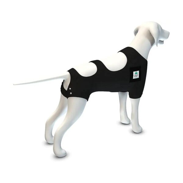 Soft Adjustable Small Dog Recovery Vest with Calming Properties