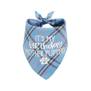 Soft Blue Birthday Bandana for Small Medium Large Dogs with Happy Birthday Message