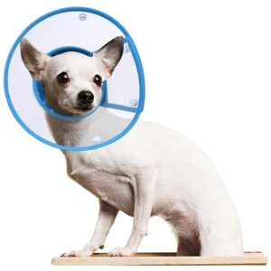 Soft Blue PVC Elizabethan Cone Collar for Dog Recovery After Surgery